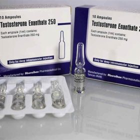 Buy Testosterone Enanthate 250 Iran Aburaiha in Australia